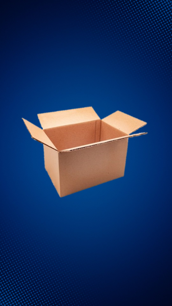 Caja 25cm X 20cm X 18.5cm